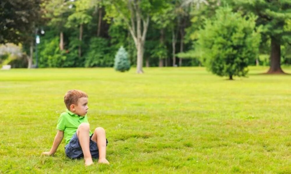 He enjoy playing. Boy on Lawn. The children are playing on the Lawn. Lawn in the Park. Sad Kid in the Park.