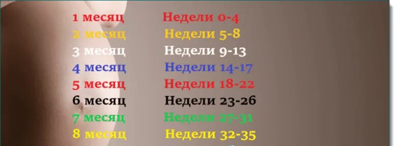 35 Недель сколькомесецев. 30 Недель беременности сколько месяцев. Сколькотнедель в мемяце. 30 Недель беременности месяц.