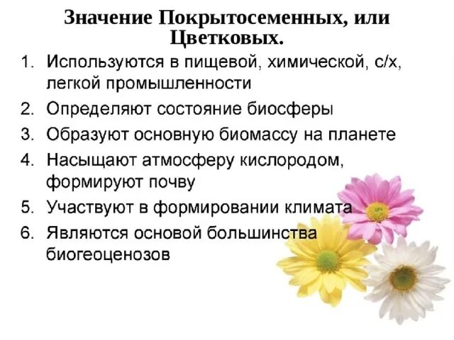 Покрытосеменные перечислить. Покрытосеменные цветковые растения таблица. Особенности цветковых растений 5 класс. Роль покрытосеменных растений в природе. Общая характеристика отдела Покрытосеменные или цветковые.