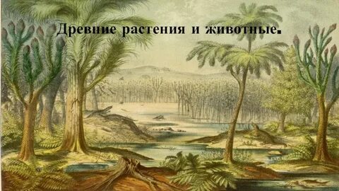 Самые древние виды растений
