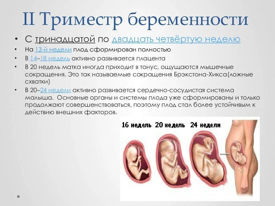 Чем опасен 1 триместр. Беременность 2 триместр беременности это. Первый второй и третий триместр беременности. Гипертонус матки при беременности 2 триместр. Тонус плода при беременности в 2 триместре.