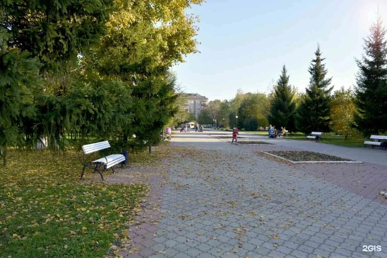 В Кургане вдоль центральной аллеи Городского сада с двух сторон сейчас ведется у