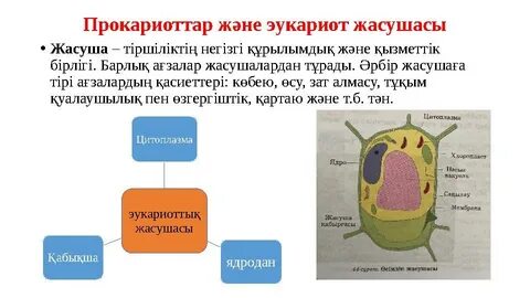 Порно талита