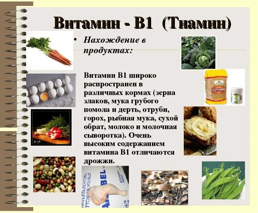 Какие есть витамины группы. Витамин b1 тиамин источники. Продукты богатые витамином b1 таблица. Тиамин витамин в1 источники продукты. Продукт являющийся источником витамина в1.