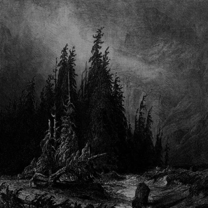 Black Metal лес. Black Metal лес норвежский. Лес в стиле Блэк метал. Мрачный лес Black Metal.