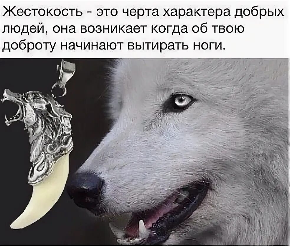 Особая жестокость это. Жестокость это черта характера добрых людей. жестокость это черта характера. жестокость эта черта характера. жестокость это черта характера добрых людей она возникает.