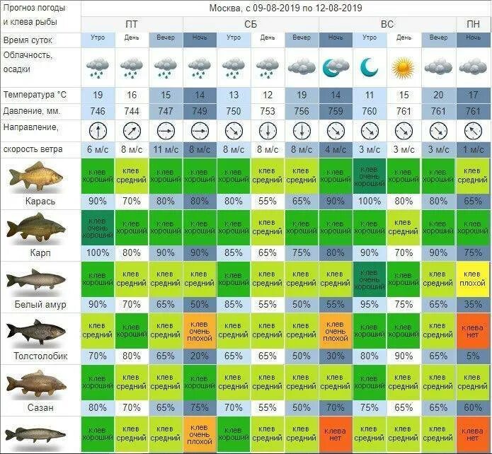 Календарь клева на завтра. При каком давлении лучше клюет рыба. Таблица давления ловли рыбы зимой. Какое давление для рыбы нормальное. Давление для рыбалки.