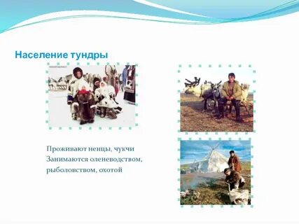 Зона тундра население