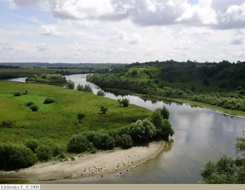 Река в курской области 5 букв. Сейм (река) реки Курской области. Река Сейм Курская область. Река Сейм Курская. Речка Сейм Курск.