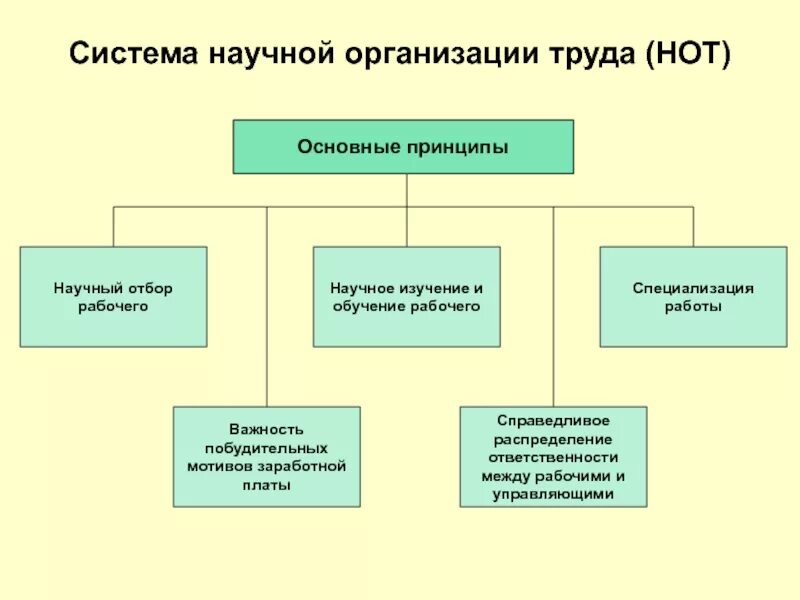 Разделы научной организации труда. Научная организация труда. Структура организации труда. Нот научная организация труда.