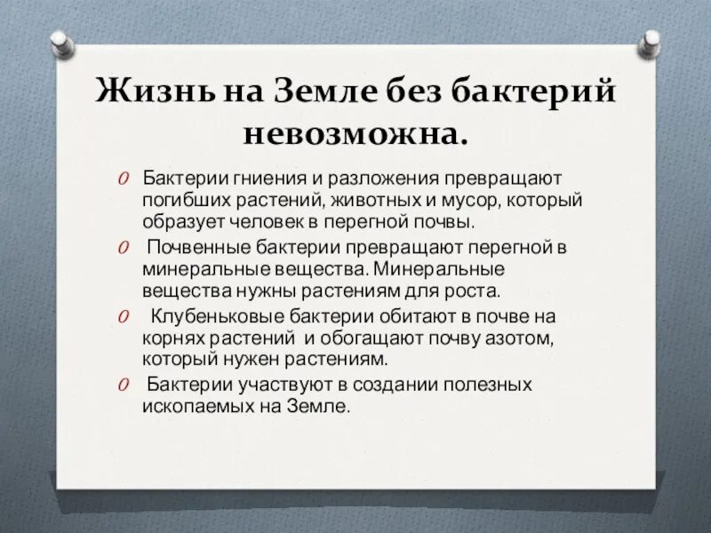 Бактерии разложения и гниения. Характеристика бактерий гниения. Почему жизнь на земле невозможна без бактерий. Бактерии разложения и гниения в почве.