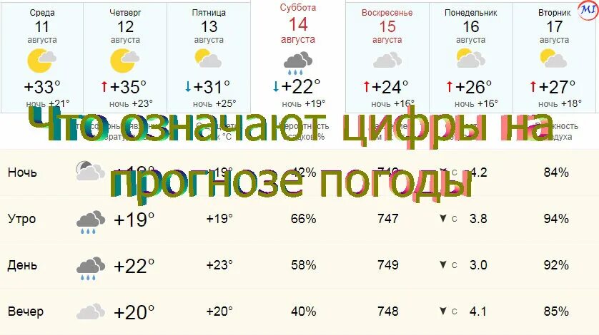 Что означают проценты в прогнозе