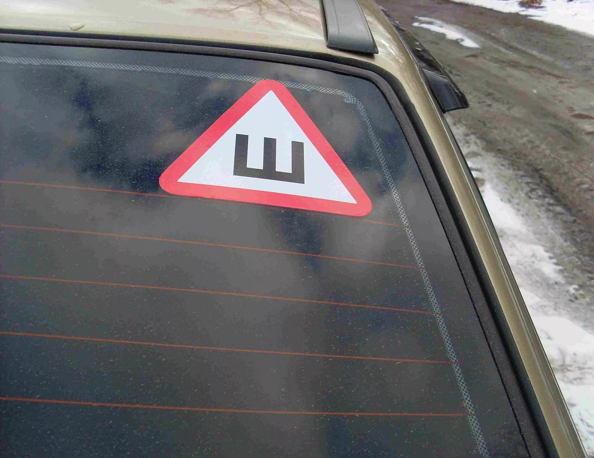 Почему шипы