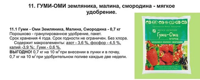 Чем удобрять малину весной для лучшего урожая. Удобрение для ремонтантной малины. Схема удобрения ремонтантной малины. Схема внесения удобрений для малины. Гуми Оми земляника.