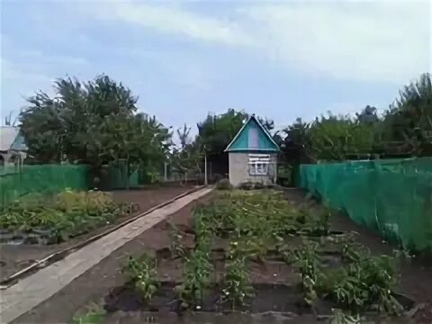 Снт волгарь