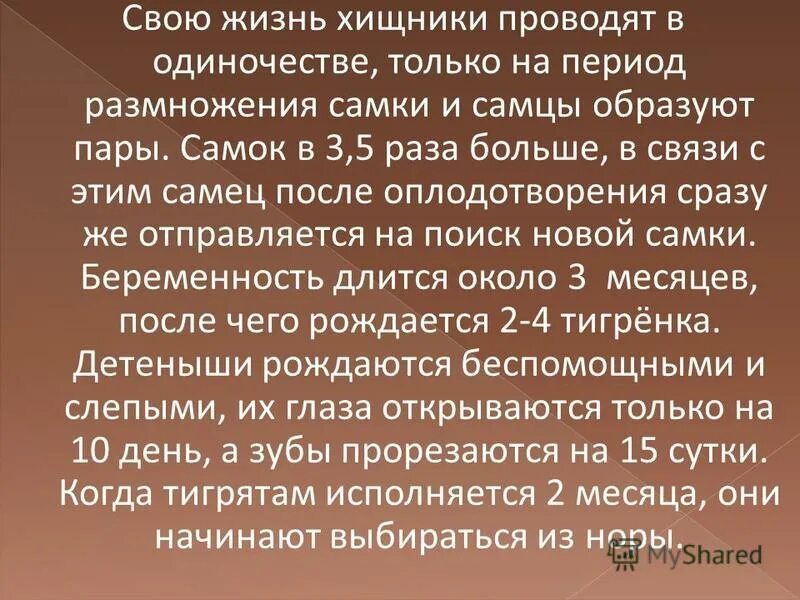 Значение хищных в жизни человека