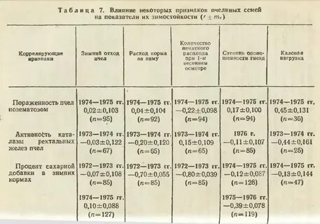 Частота пчелы