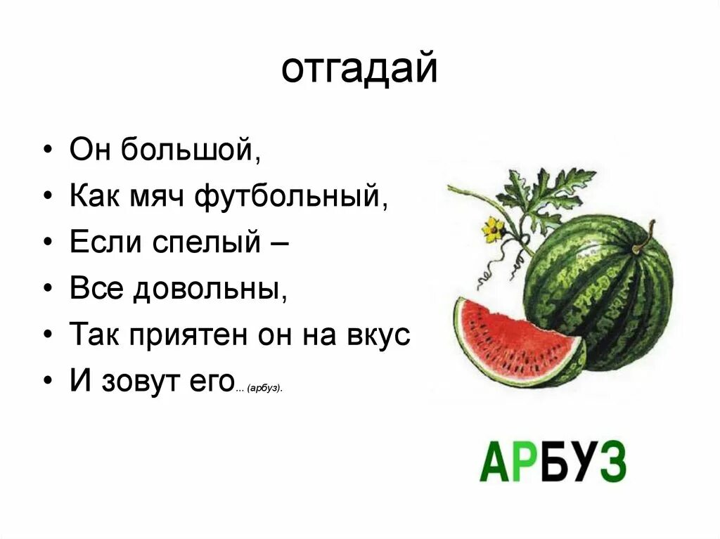 Загадки 2 класс литературное чтение загадки. Загадки для 1 класса. 1 Загадка. Загадки для первого класса.