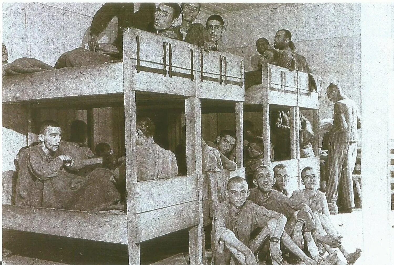 Concentration camp. Маутхаузен концентрационный лагерь 1945. Лагерь смерти Маутхаузен концентрационный. Концлагерь Маутхаузен в Австрии.