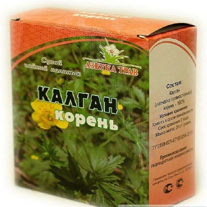 Корень калгана свойства для мужчин. Чай с калганом. корень колган растение лечебные. травы для потенции. травы для потенции в аптеке.