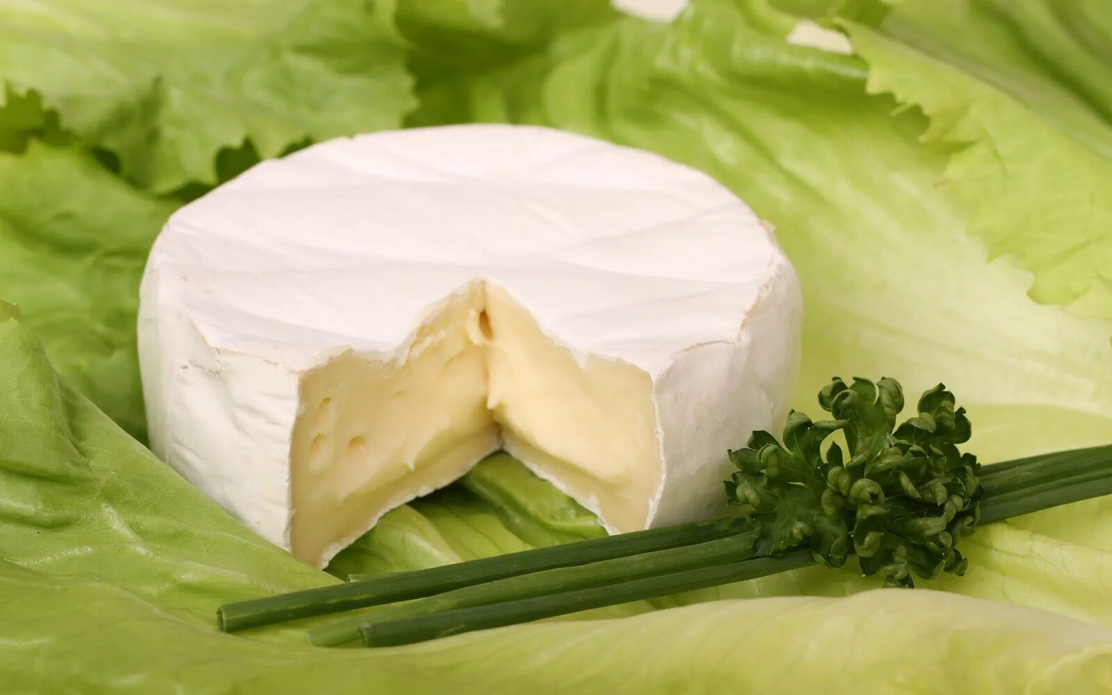 Сыр качок. Сыр. Нежирный сыр. Мягкие сыры. Сыр с зеленью.