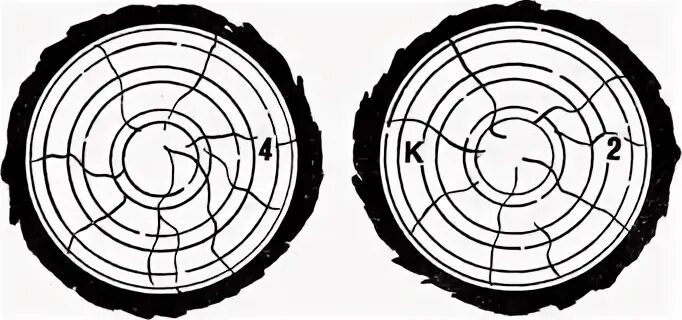 Маркировка леса кругляка. Маркировка бревен. Маркировка леса. Маркировка леса. Поставка древесины.