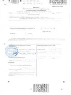 Сведения о численности работников форма