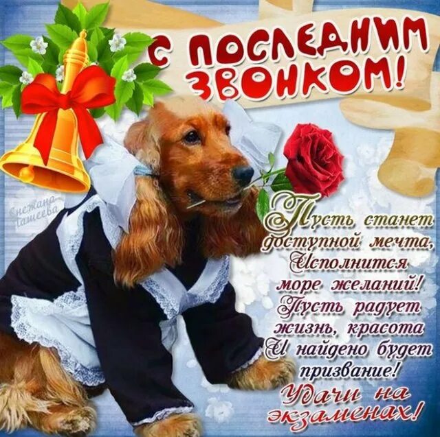 Поздравление с последним. Последний звонок открытка. открытка поздравление с выпускным. открытка с последним звонком. поздравление с последним звонком.