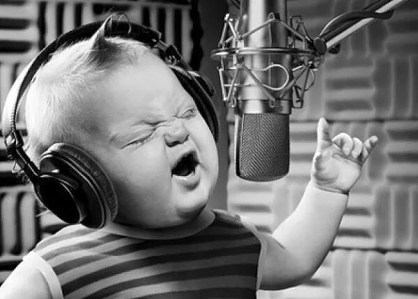 смешно поет видео. поющие животные. собака на пианино. смешно поет видео. смешные музыканты.