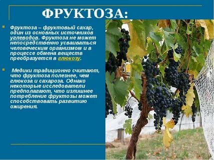 Фруктоза вино