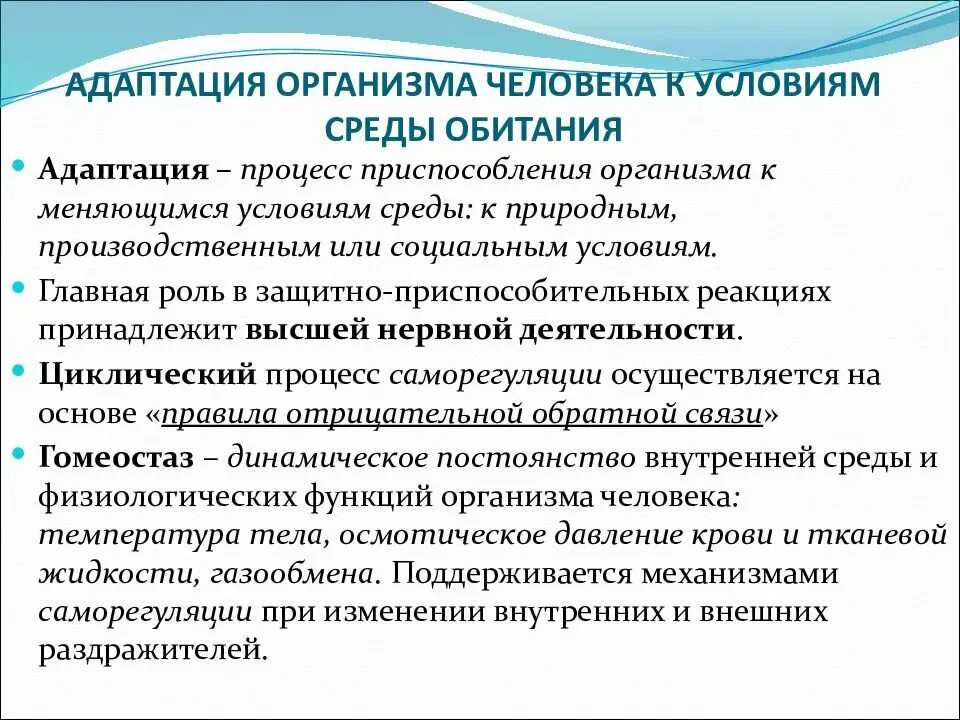 Адаптация человека к среде обитания. Основные пути адаптации организмов к среде. Адаптация к условиям среды. Адаптация организма человека к условиям среды.