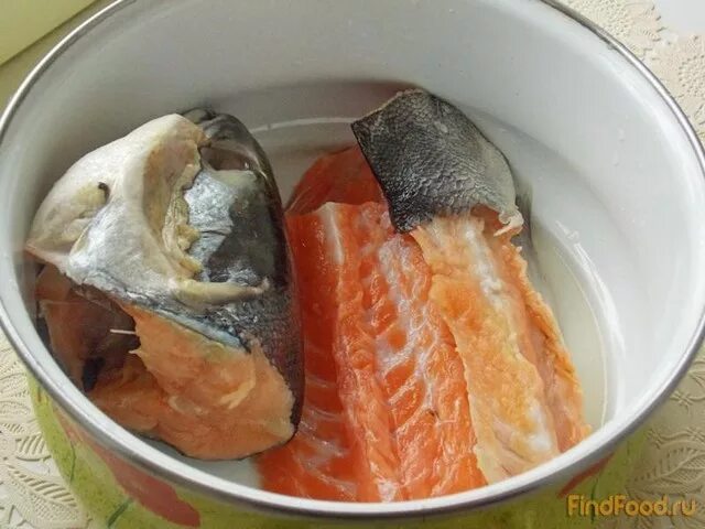 Суп из хребтов лосося. Уха с семгой. Суп из хребтов форели. Суп из хребтов форели. Супчик из форели.