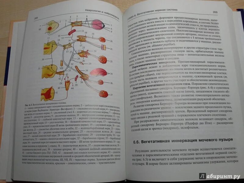 Учебник по нейрохирургии. Учебник неврология нейрохирургии том 1. Неврология и нейрохирургия том 2. Неврология учебник Гусев Коновалов.