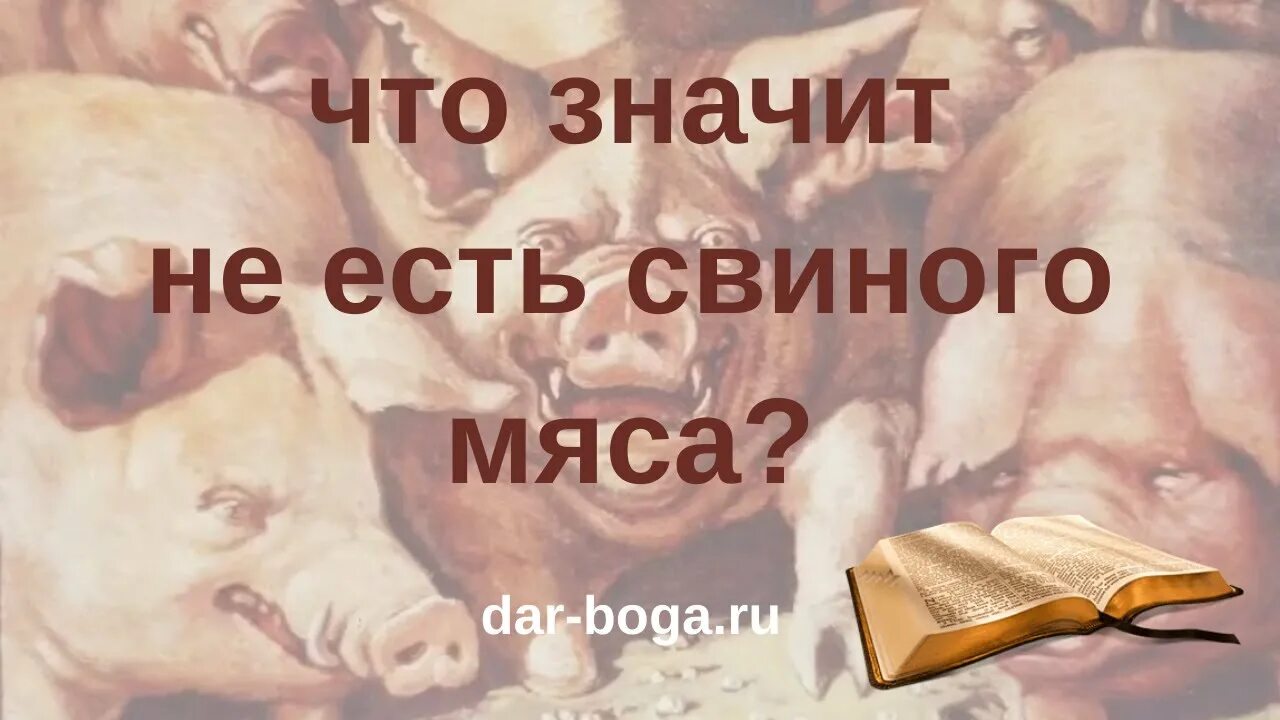 В Библии про свинину. Чистые и нечистые животные по Библии. Библия про свинью. Чистое и нечистое животное в Библии. Что нельзя кушать христианам