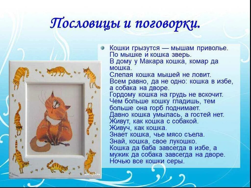 Пословицы о животных. Поговорки о животных. кошачьи пословицы и поговорки. пословицы про кошек. пословицы и поговорки о кошках.