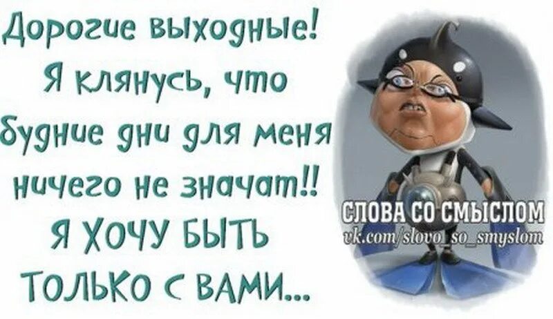 статусы про смыслом прикольные. слова со смыслом. картинки с цитатами со смыслом прикольные. афоризмы прикольные. статусы юмор.