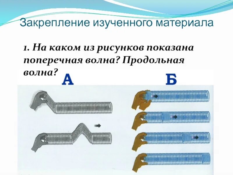 Поперечная волна причина форма возникновение пример Примеры поперечных волн
