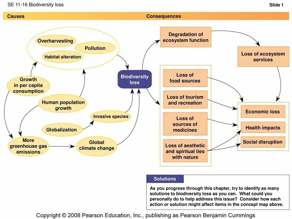 Loss of Biodiversity. Causes of Biodiversity loss. Loss of Biodiversity презентация. Biodiversity and ecosystem loss.