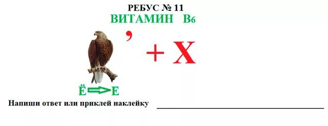 Ребус орех. Ребусы на тему питание. ребусы по правильному питанию. ребусы на тему здоровое питание. ребусы про правильное питание.