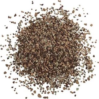 Lechuza pon