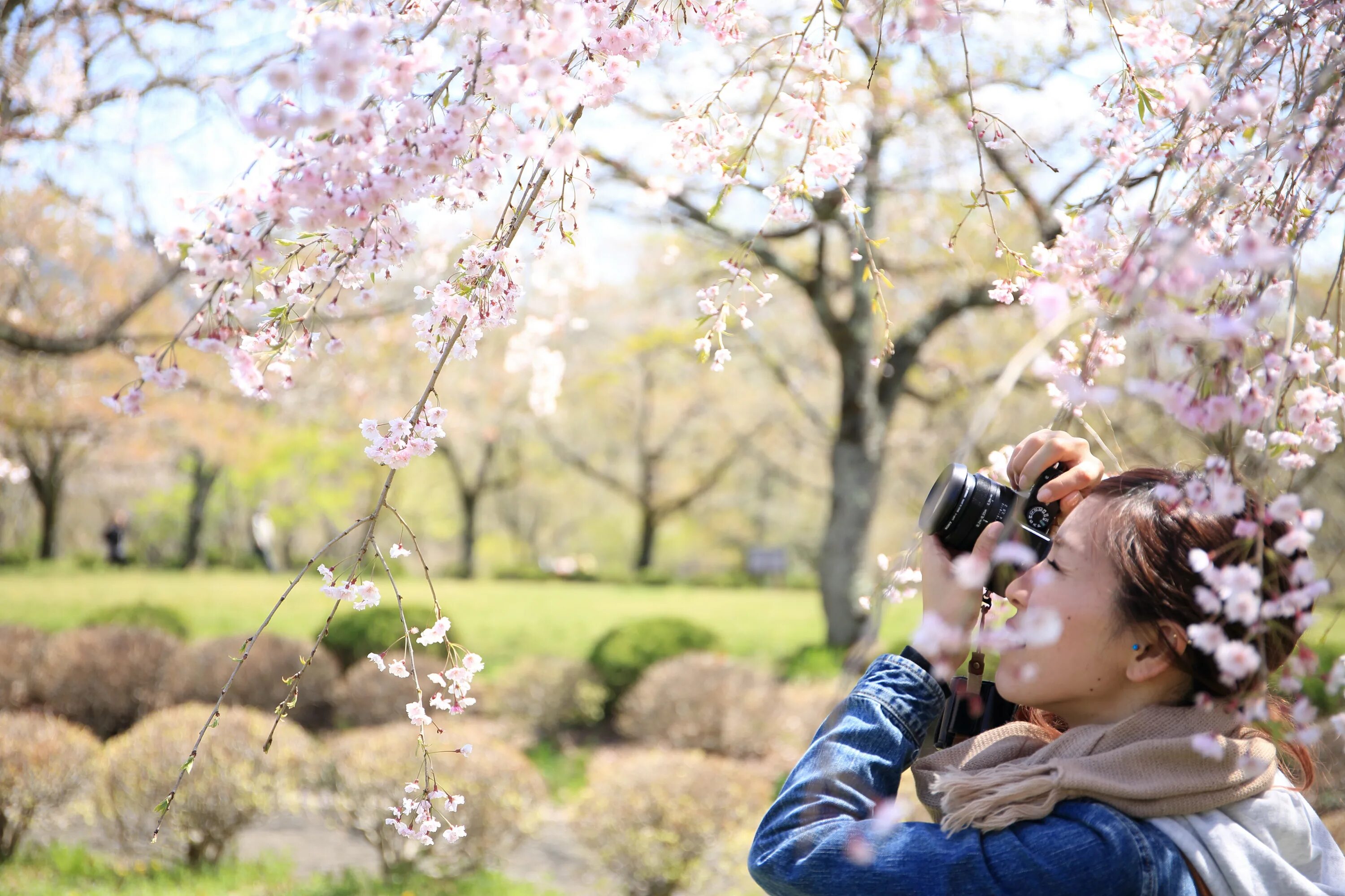 Spring main. Весенняя фотосессия. Люди весной. Фотосессия в цветущих деревьях. Фотосессия в цветущем саду.