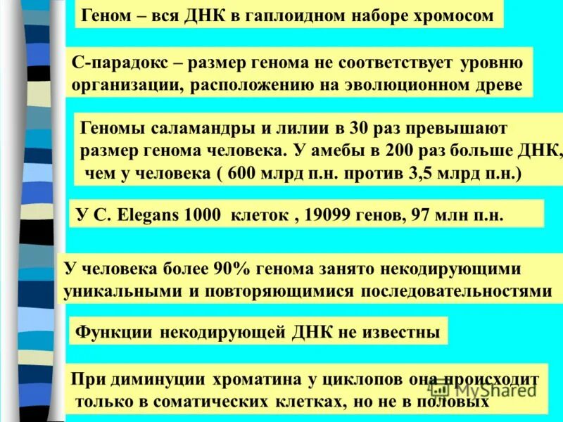 совокупность генов в гаплоидном наборе пример. совокупность генов содержащихся в гаплоидном наборе хромосом. информативная емкость генома человека. геном это гаплоидный набор. совокупность генов гаплоидного набора хромосом.