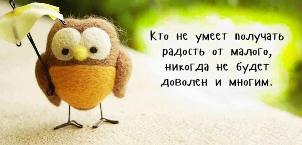 Позитив словами умных