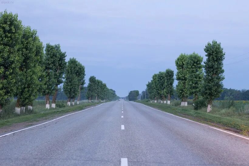 Дорога в Ейск. Дорога Краснодар Ейск. Дорога Воронеж Ейск.