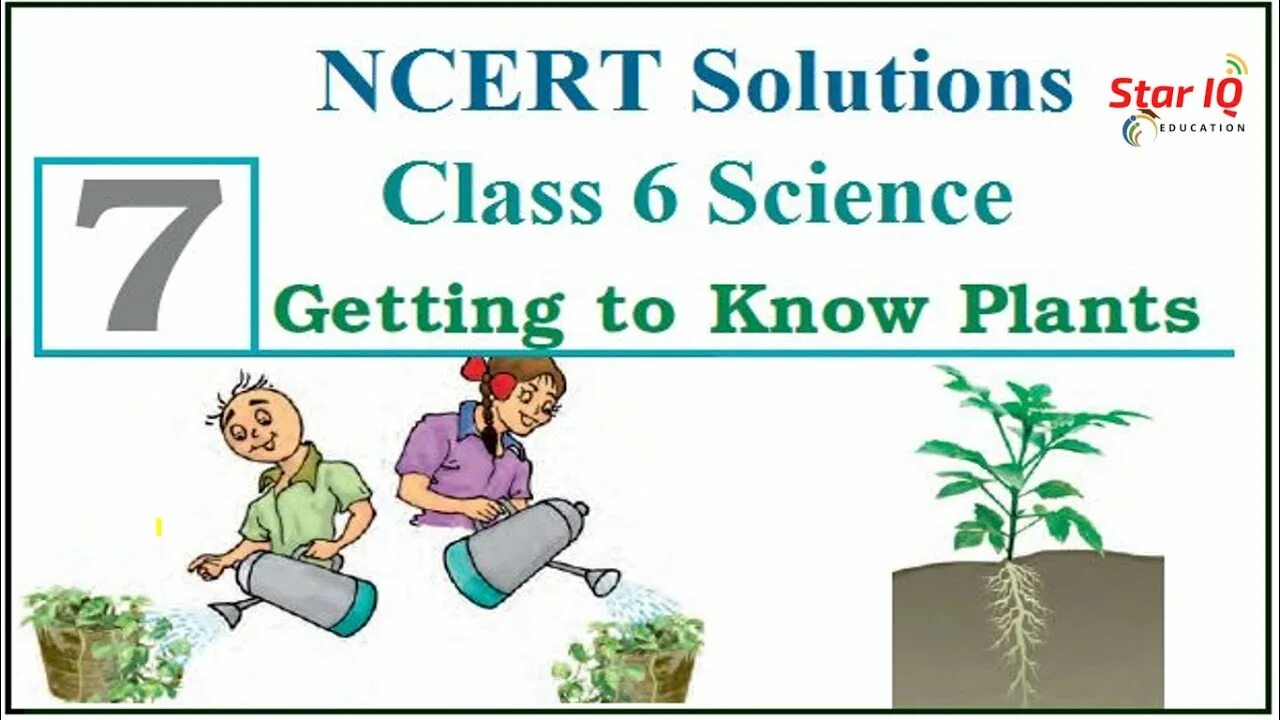Solution 6 класс