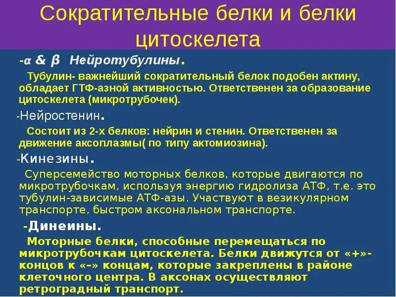 К сократительным белкам относится. Белок тубулин - биохимия. Белки нервной ткани биохимия. К «сократительным белкам» относят. Нервная свойства сократимость