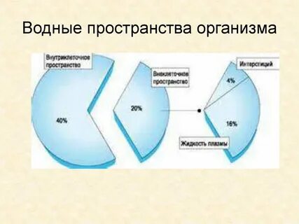 Непрерывное водное пространство
