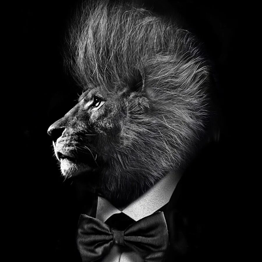 Лев бизнесмен. Человек лев. Лев в пиджаке. Лев в пиджаке. Лев бос.