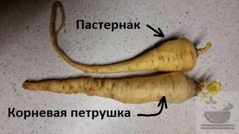 Вместо корня