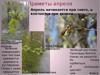 Гроза в середине апреля приметы